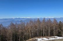 Tokyo: Mt. Fuji 5th Station, Fuji Area & Kawaguchiko 1-Day Tour