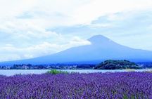 Tokyo: Mt.Fuji & Lake Kawaguchiko 1-Day Bus Tour w/Optional Lunch