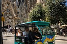 Private Tour in Tuk Tuk Electric Barcelona with 14h View