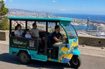 Private Tour in Tuk Tuk Electric Barcelona with 14h View