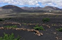 E MTB Tour Volcanic Views and Playa Quemada Coast