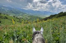 Scenic Horseback Riding Experience in Ile-Alatau National Park
