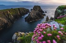 Howth Half-Day Coastal Tour: Castle, Village, and Summit Views