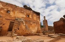 Mohammed VI Tower Panoramic Climbing and Visit of Chellah