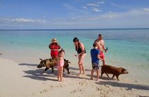 Swim with Pigs and Skis Tour Experience