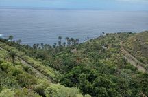 Tenerife Wild Natural Cliffs and Pools