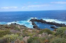 Tenerife Wild Natural Cliffs and Pools