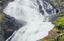 Private Full Day Oslo to Sognefjord with Flam Railway Stegastein