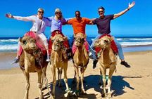 Luxury 4-Hour Private tangier Experience & Camel Ride