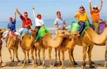 Luxury 4-Hour Private tour of Tangier