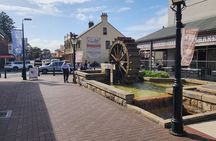 Blue Mountains Hidden Routes: Wild Kangaroos, Windsor & Falls