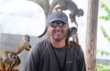 2x1: Monkeys Land Plus Drive a Dune Buggy in Puerto Plata