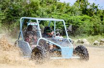 2x1: Monkeys Land Plus Drive a Dune Buggy in Puerto Plata
