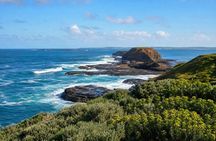 Phillip Island Nature Parks PENGUIN Parade PRIVATE hotel pickup