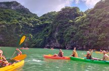 2-Day Halong Bay & Ninh Binh Tour With Transfer - Best Seller