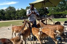 Kyoto & Nara Customizable Private Car Tour (Local English Guide)