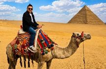Ultimate VIP All-Inclusive Giza, Saqqara,Memphis Tour , Camel