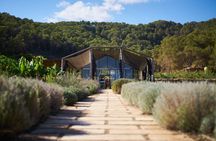 Ibiza: Organic Farm-to-Table Cooking Class with Lunch & Wine