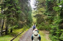 Tbilisi to Borjomi National Park Horseback Riding Day Trip (Easy)