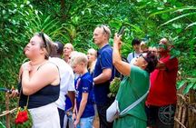 Zanzibar Full Day Spice Farm, Prison Island and Stone Town Tours