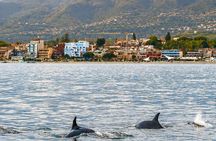 2.5 Hours Sunset Boat Tour in Search of Dolphins