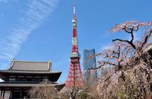 Tokyo Private Custom Highlights Tour with Local Guide