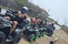 Curacao ATV/Quad Tour West: Flamingos- Beach- Turtles & More