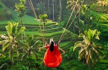 Ubud Tour : Monkey Forest, Waterfalls, Temple and Rice Terraces