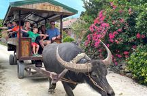 Okinawa Private Tour — Driver and Guide Included 1–8 Guests (8h)