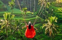 All-Inclusive Ubud Private Tour: Rice Terrace, Temple & Waterfall