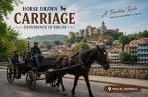Tbilisi: Horse-Drawn Carriage Ride in Old Town