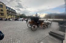 Tbilisi: Horse-Drawn Carriage Ride in Old Town
