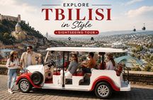 Tbilisi: Sightseeing with Electric Car with Local stories