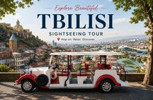 Tbilisi: Sightseeing with Electric Car with Local stories