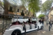 Tbilisi: Sightseeing with Electric Car with Local stories