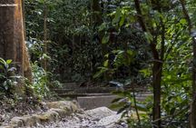 Rincón de la Vieja Volcano, Waterfall & Hot Springs Experience