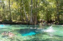 Ginnie Springs Glass Bottom Kayak Eco Tour