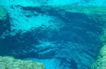 Ginnie Springs Glass Bottom Kayak Eco Tour