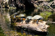 Ginnie Springs Glass Bottom Kayak Eco Tour