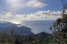 Tortola Island and Snorkeling Adventure