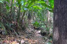 Tortola Island and Snorkeling Adventure