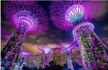 Luxury Night Cruise Sling,Dinner,Satay,Spectra & Rhapsody Show