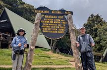 Kilimanjaro Day Trip from Moshi – Best One Day Hiking Tour