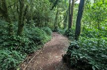 Kilimanjaro Day Trip from Moshi – Best One Day Hiking Tour