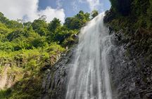 Moshi: Materuni Waterfalls Hike, Traditional Lunch & Coffee Farm