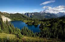 From Seattle: Mount St. Helens and Mount Rainier Private Tour