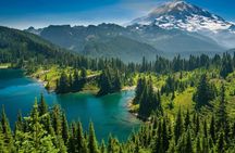 From Seattle: Mount St. Helens and Mount Rainier Private Tour