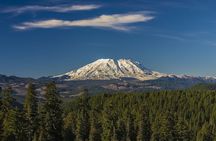 From Seattle: Mount St. Helens and Mount Rainier Private Tour