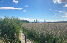 Helsinki's Urban Countryside & Beer Tour