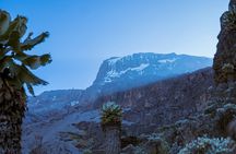 8 Days Kilimanjaro Hike via Lemosho Route